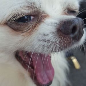 Meet your Posher, Chrissy